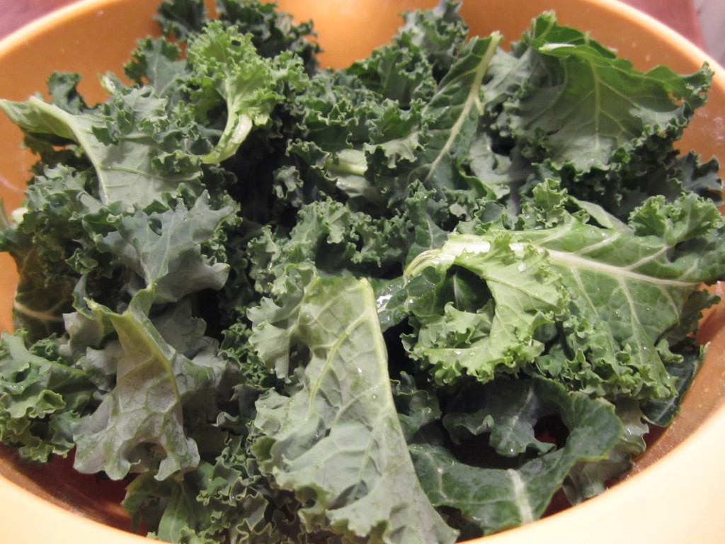 Homemade Crispy Kale Chips - My Judy the Foodie